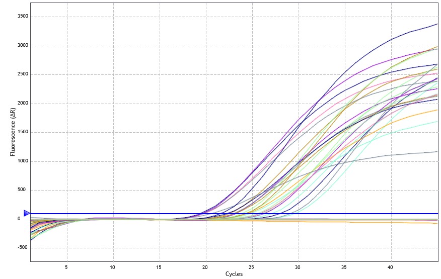 taken.bz QuantiTect Reverse Transcription Kit